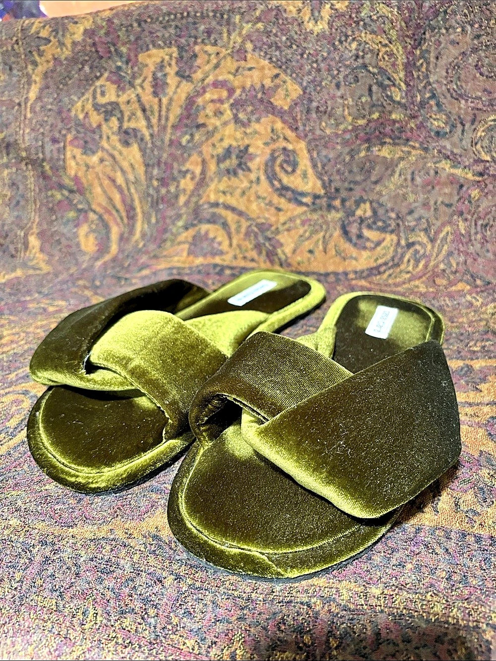 Casa Clara Velvet Slide Sandals in Green